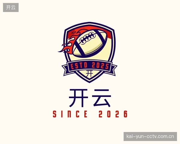解读开云公司